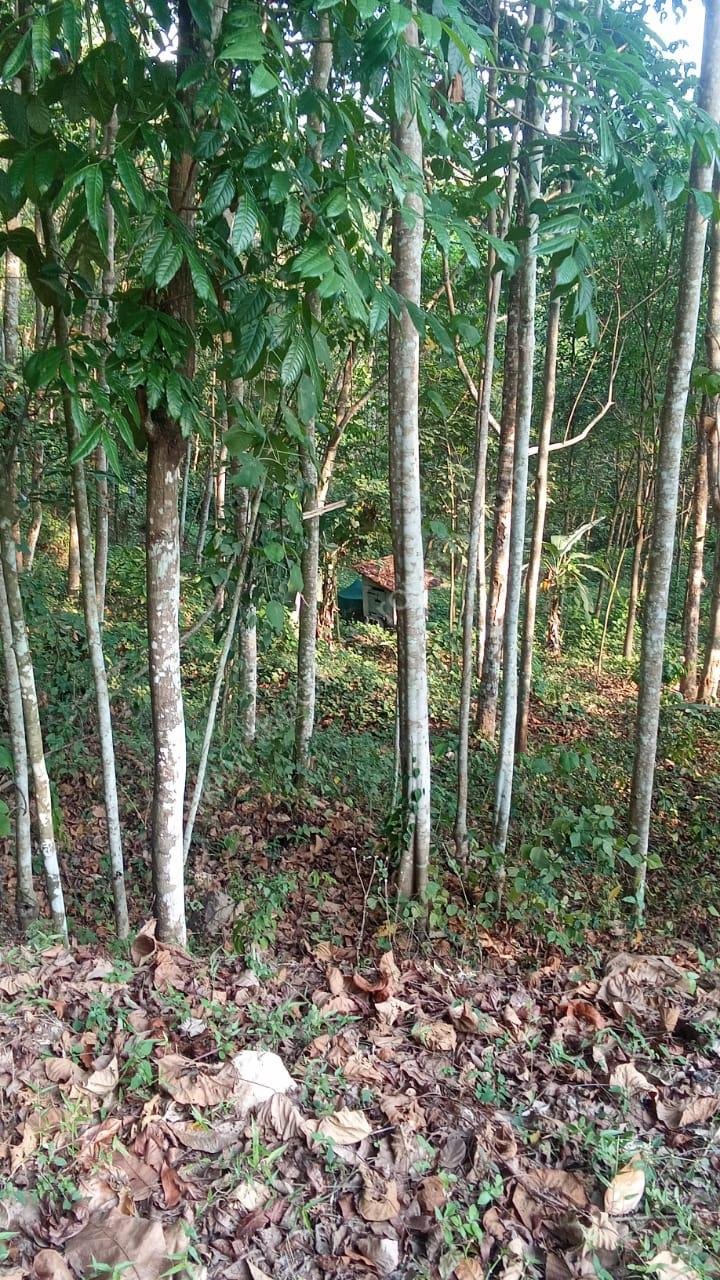 PHOTO-2026-03-23-22-38-41 (1)