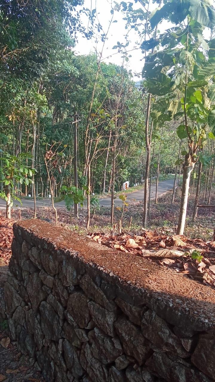 PHOTO-2026-03-23-22-38-41