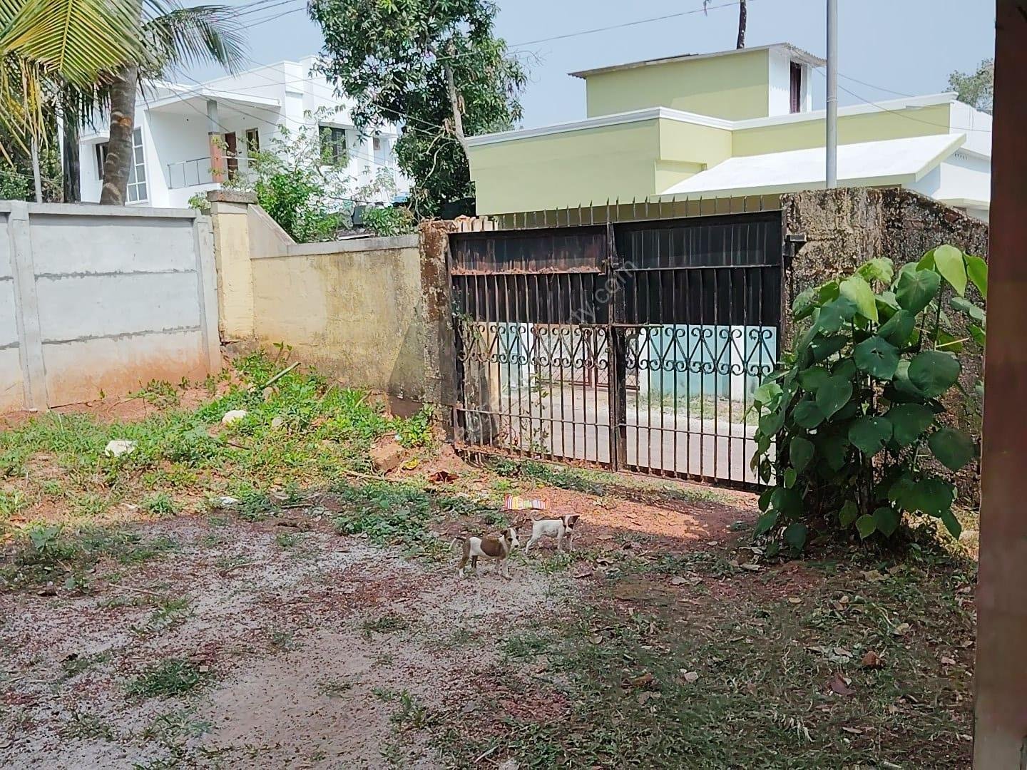 Land for sale in Kottiyam