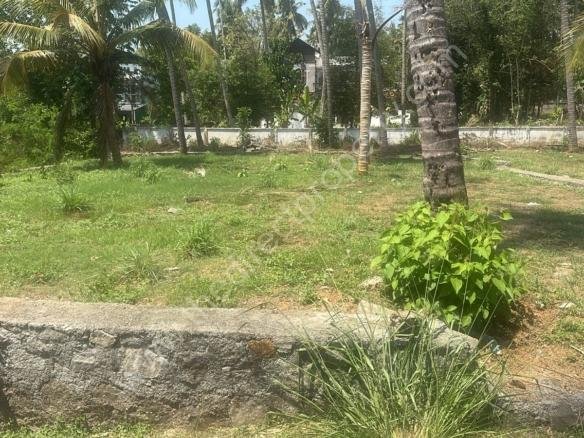 Land for sale in Aranattukara