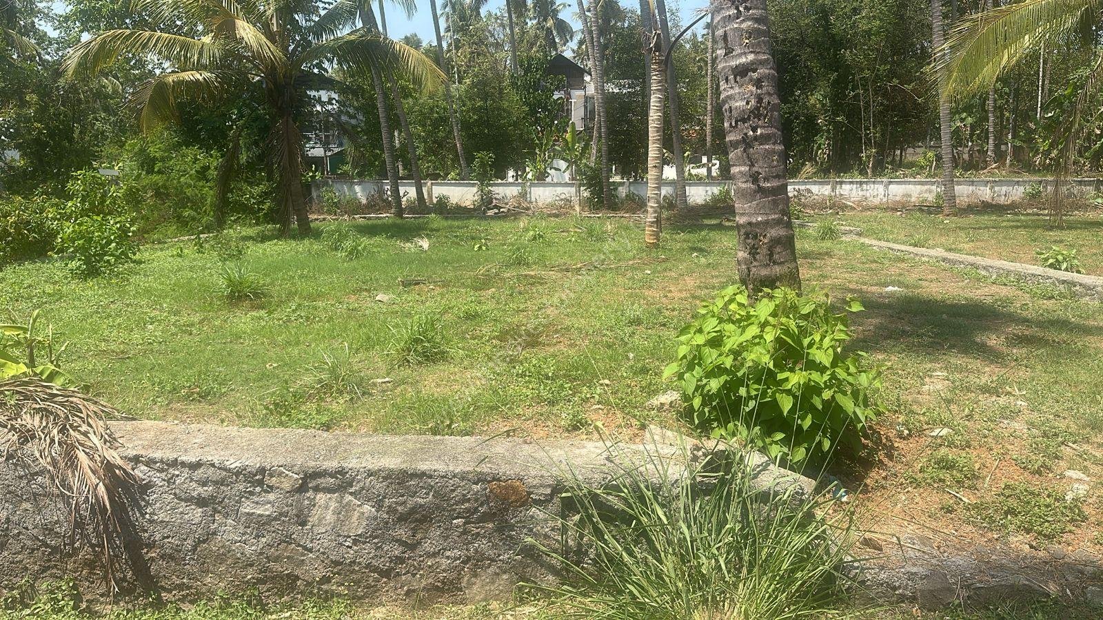 Land for sale in Aranattukara