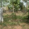 Residential Land for sale in Nadathara