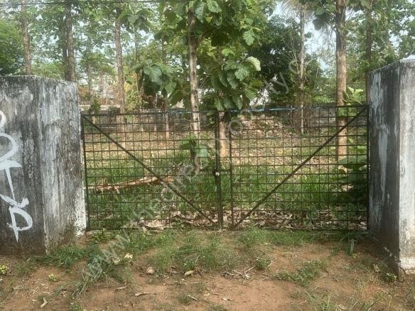 Residential Land for sale in Nadathara