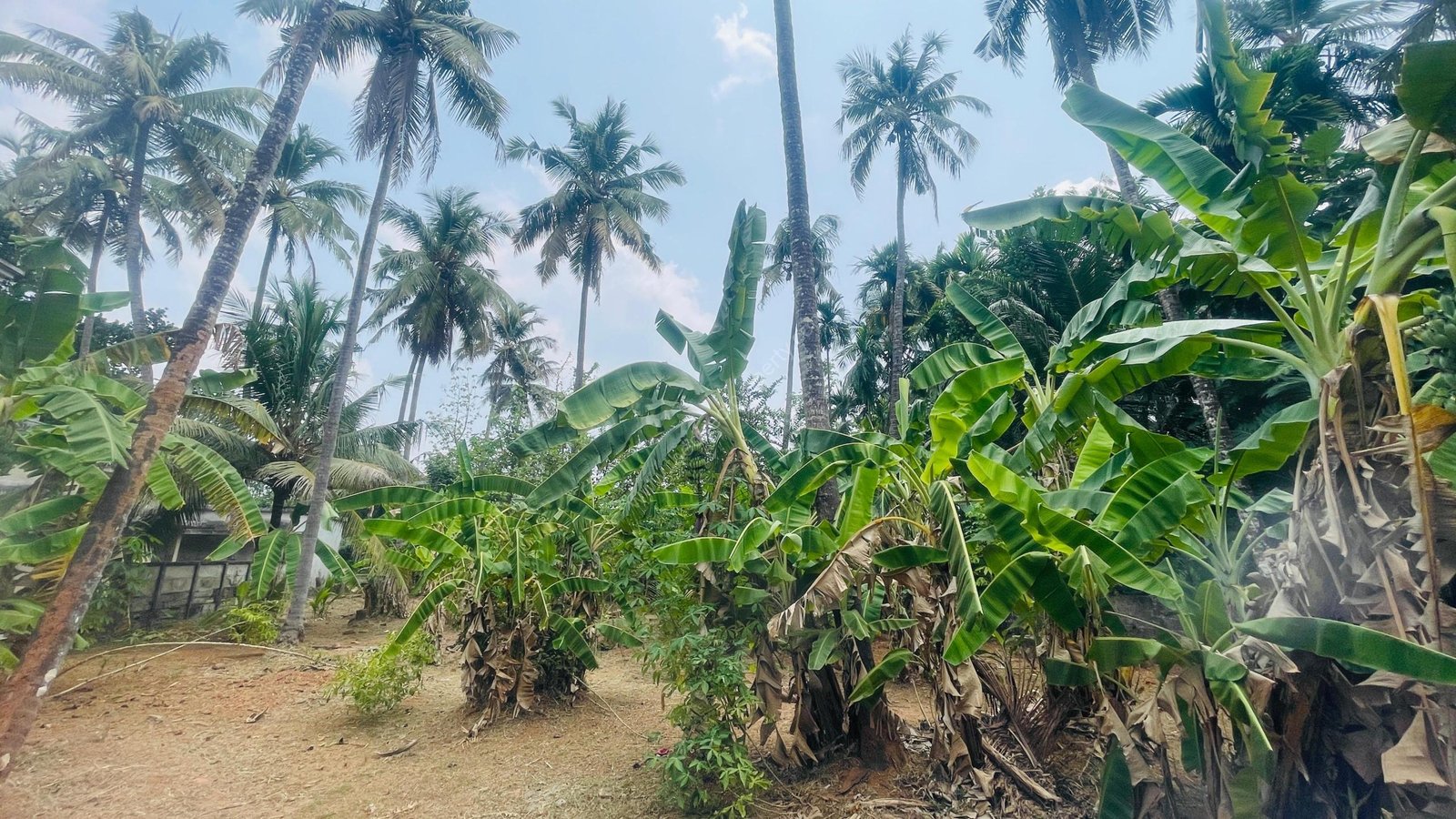 WhatsApp Image 2026-03-16 at 6.20.01 PM