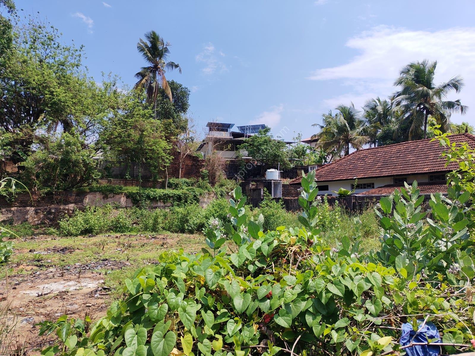 WhatsApp Image 2026-03-17 at 10.17.04 PM