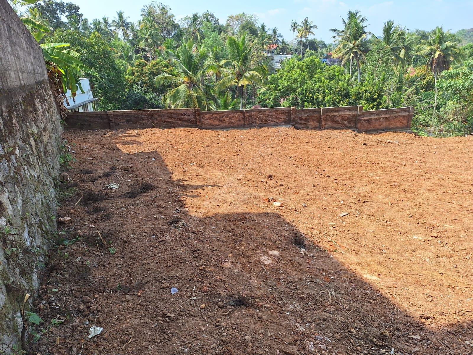 WhatsApp Image 2026-03-22 at 4.43.26 PM.jpeg nellimoodu