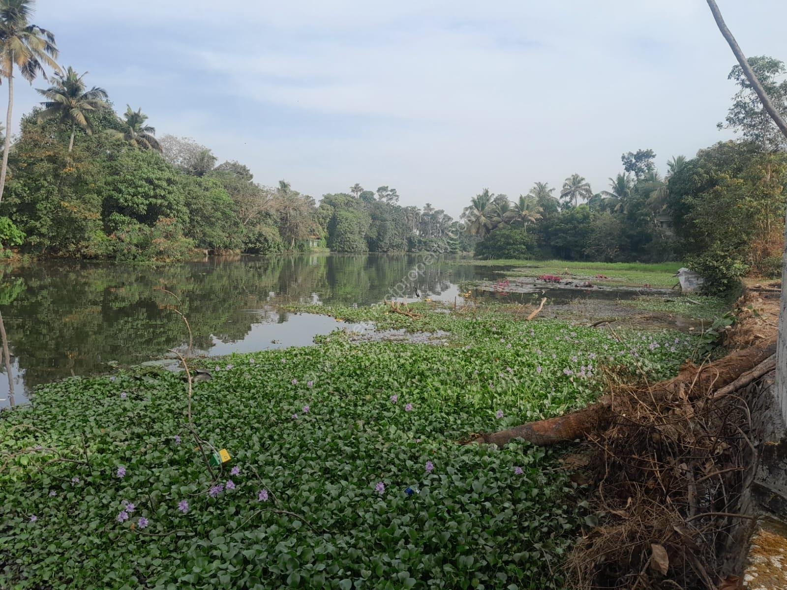 cc3048de-2f5f-4243-93a3-266979e294e0