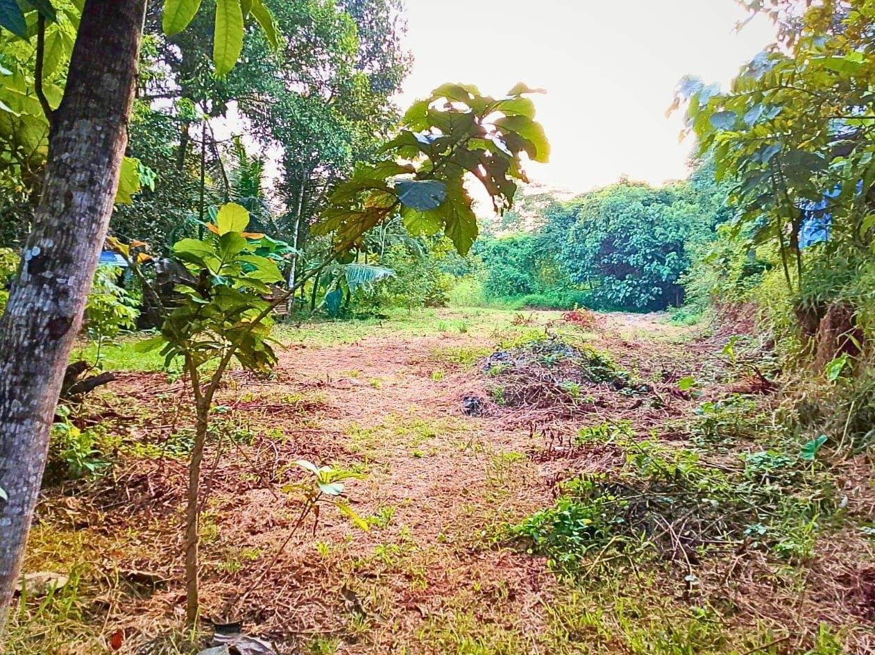 Residential Plot for sale in Kummanode