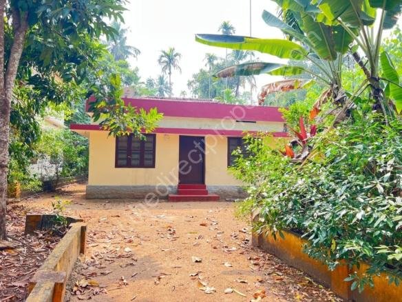 House and property for sale in Omalloor