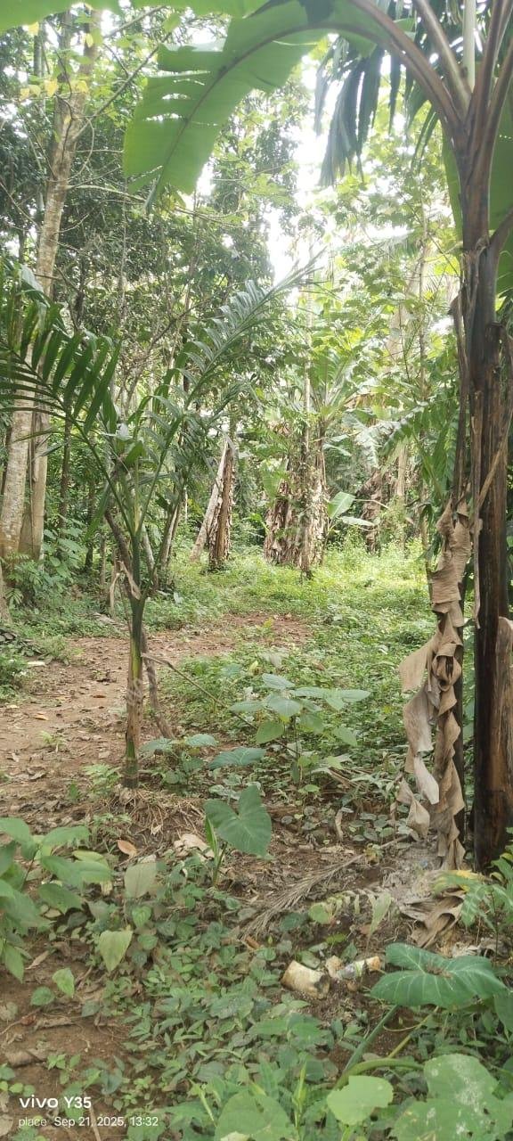 WhatsApp Image 2026-04-23 at 5.19.19 PM