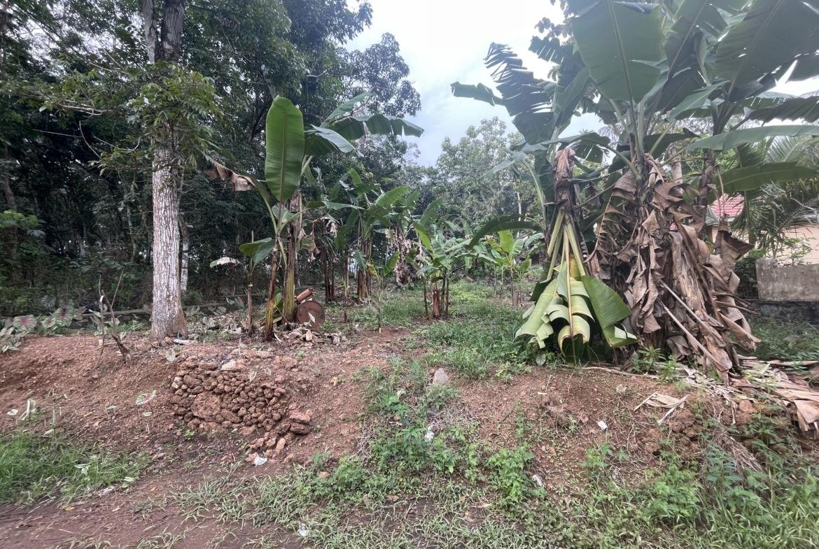 Roadside Residential Plot for Sale at Kannanchira Vakathanam