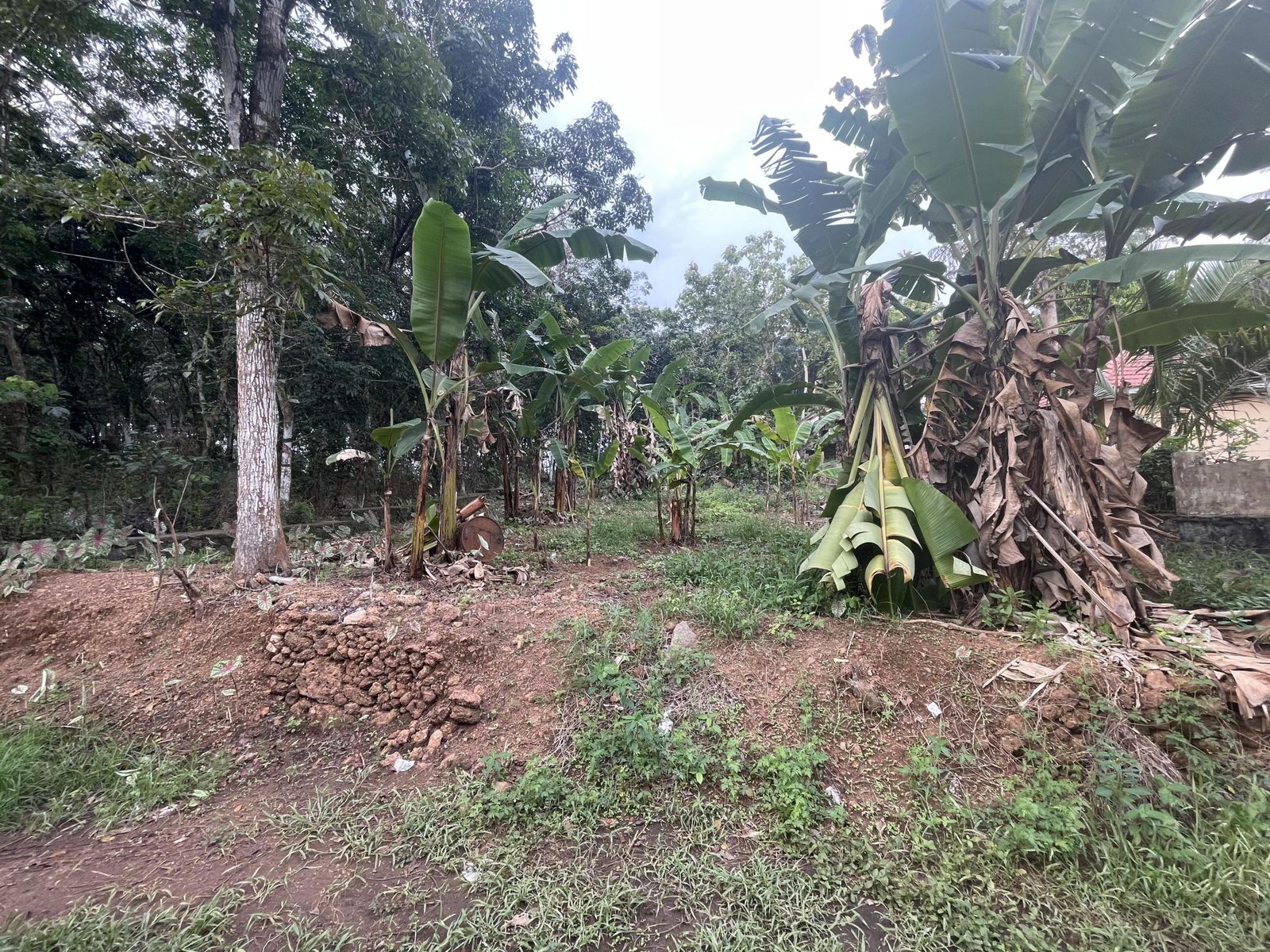 1 Roadside Residential Plot for Sale at Kannanchira Vakathanam