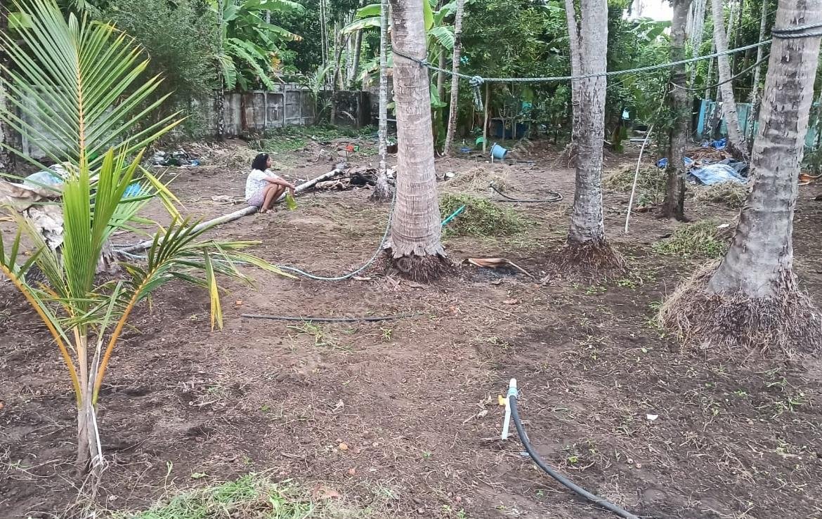 House and land for sale in Cherai, Ernakulam
