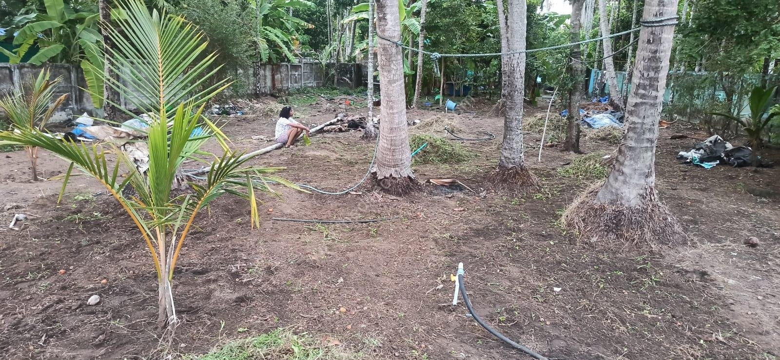House and land for sale in Cherai, Ernakulam