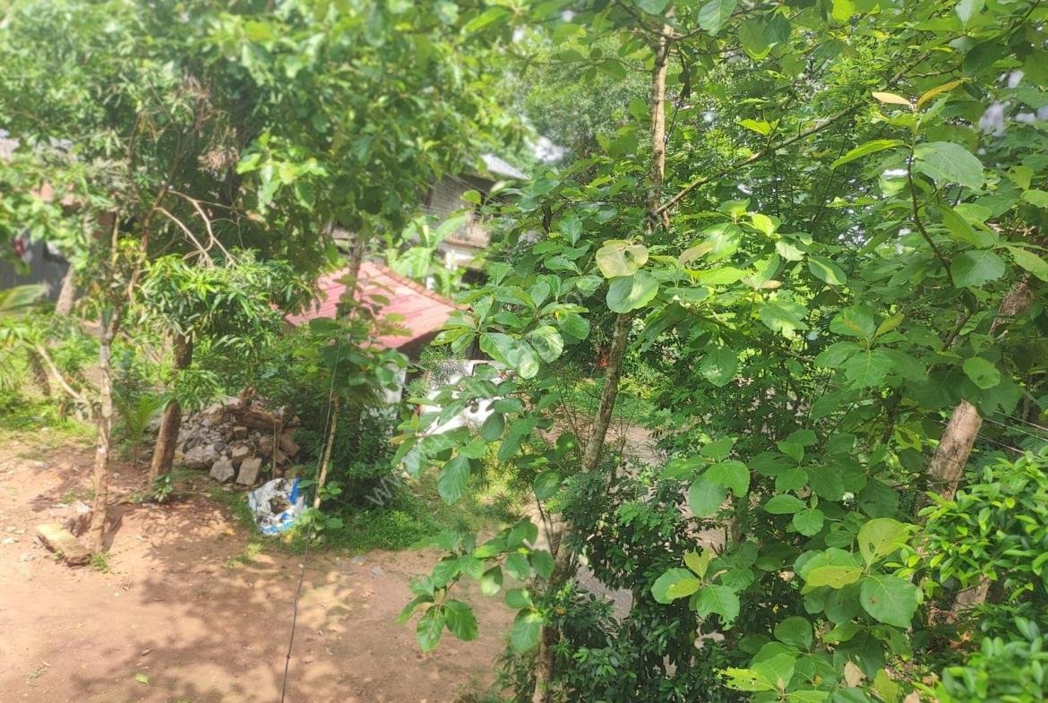 Residential plot in Thonakkad Cheriyanad Chengannur