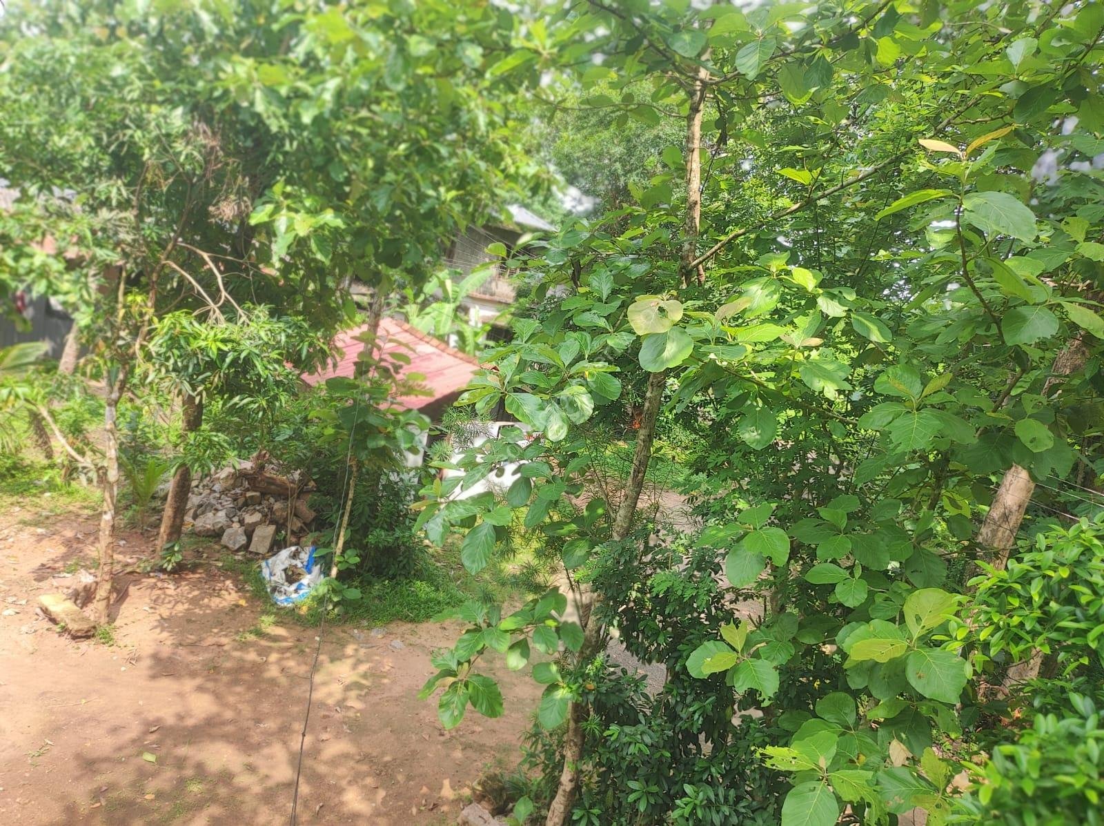 Residential plot in Thonakkad Cheriyanad Chengannur