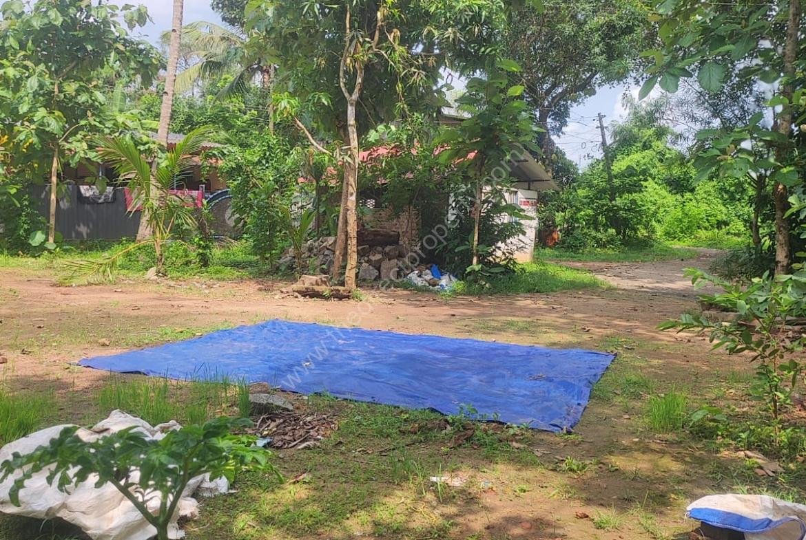 Residential plot in Thonakkad Cheriyanad Chengannur