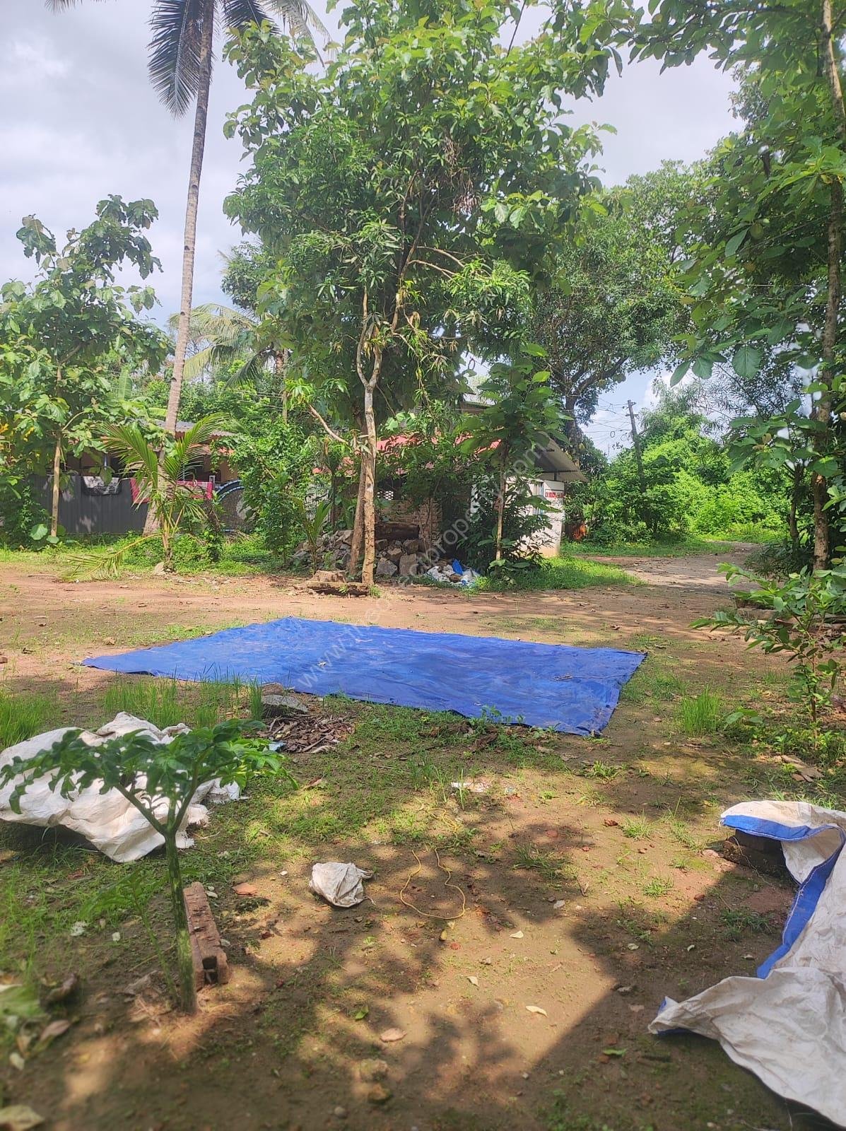 1000074239 Residential plot in Thonakkad Cheriyanad Chengannur