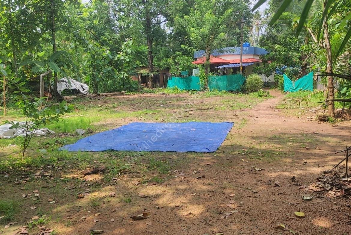 Residential plot in Thonakkad Cheriyanad Chengannur