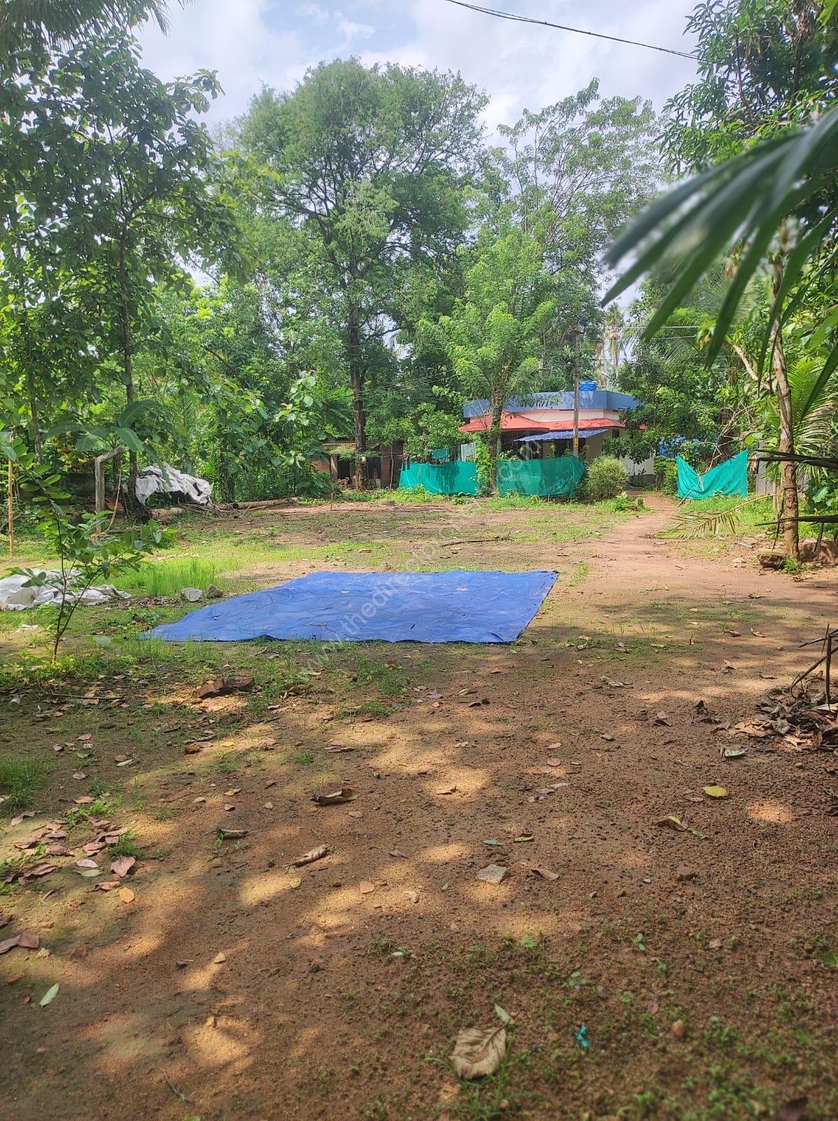 Residential plot in Thonakkad Cheriyanad Chengannur