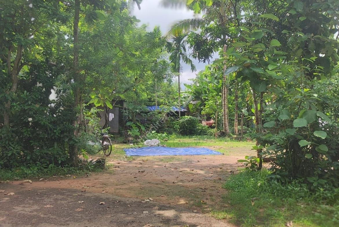 Residential plot in Thonakkad Cheriyanad Chengannur