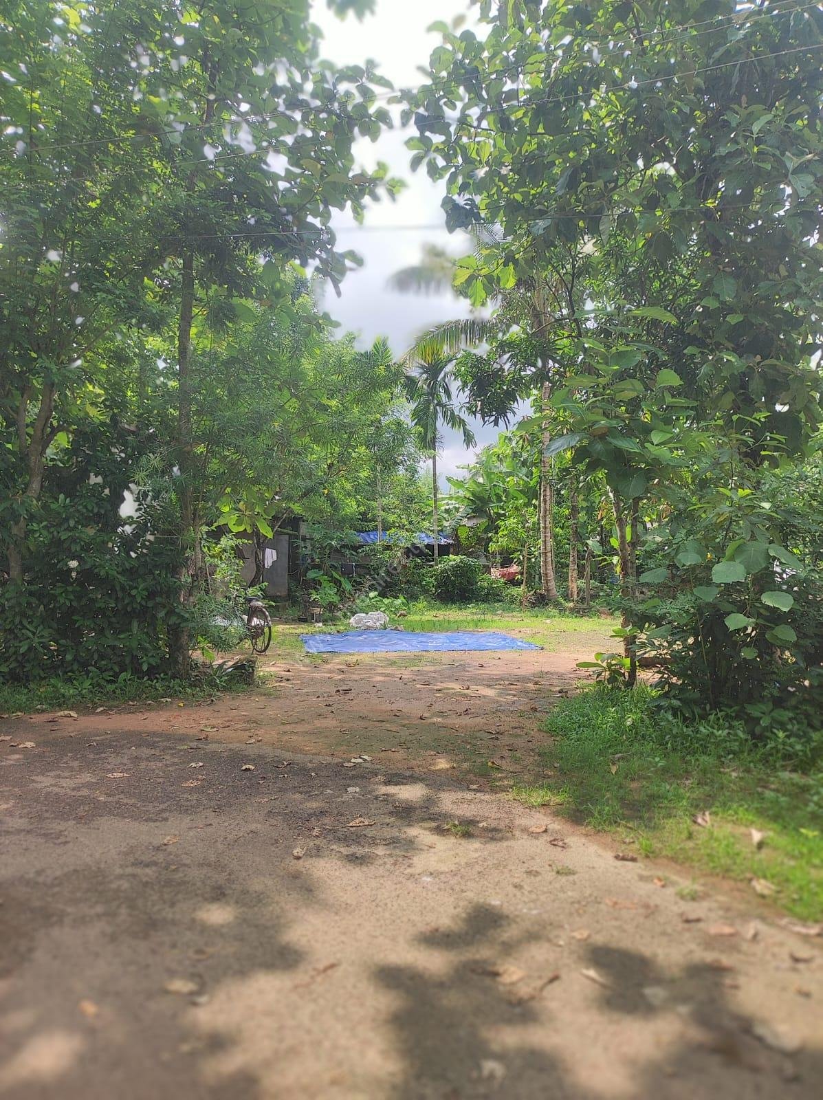 1000074243 Residential plot in Thonakkad Cheriyanad Chengannur