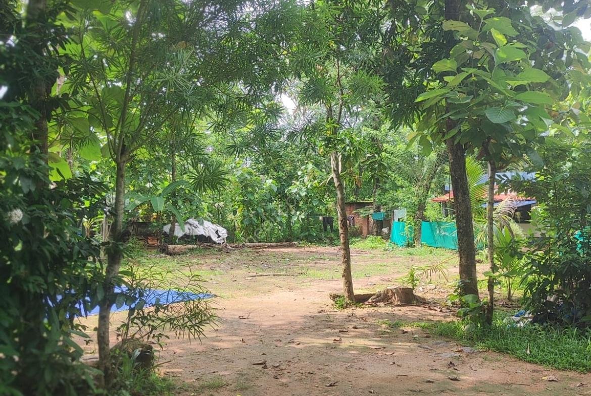 Residential plot in Thonakkad Cheriyanad Chengannur