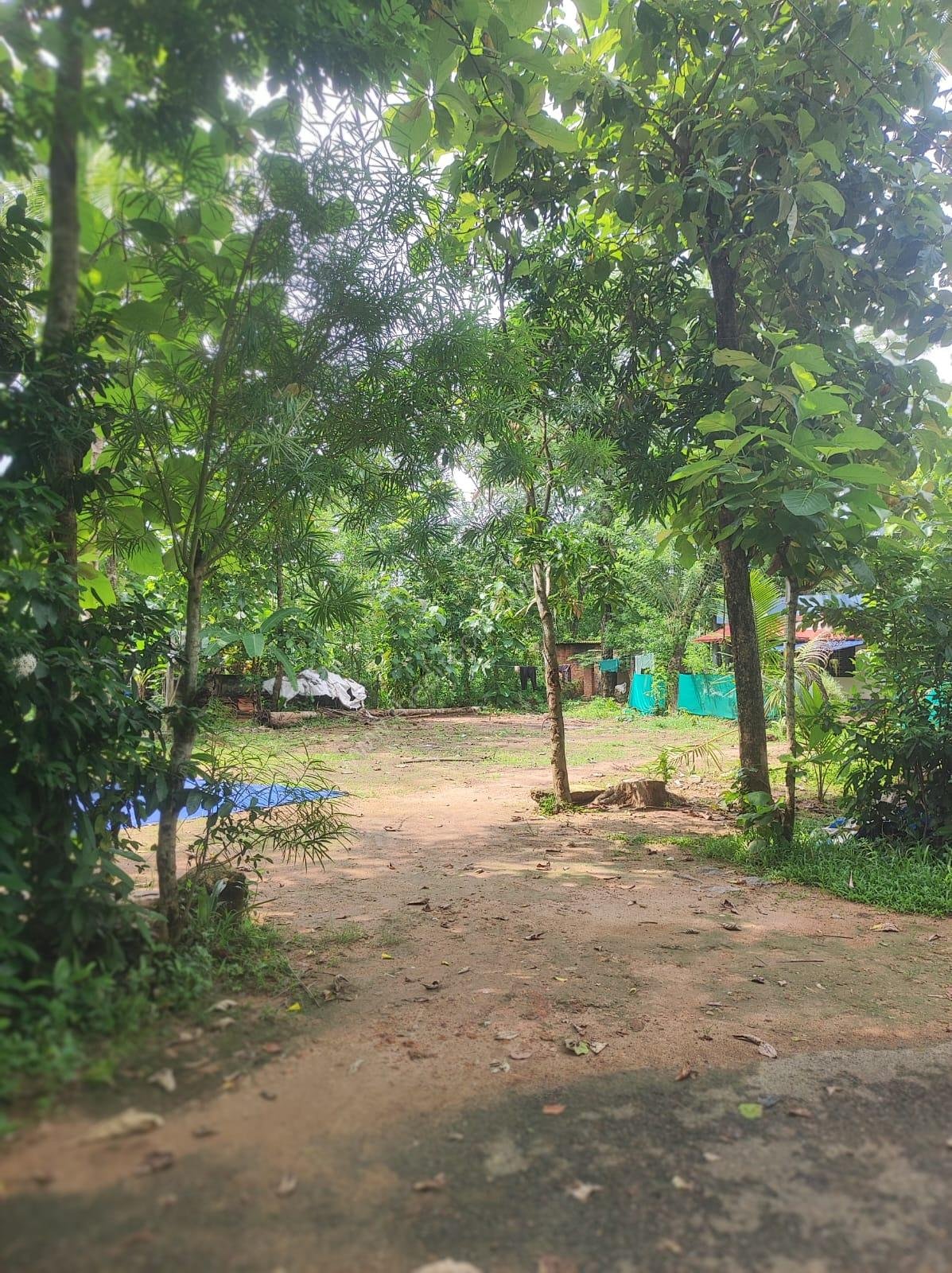 Residential plot in Thonakkad Cheriyanad Chengannur