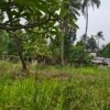 Plot for urgent sale in Aluva