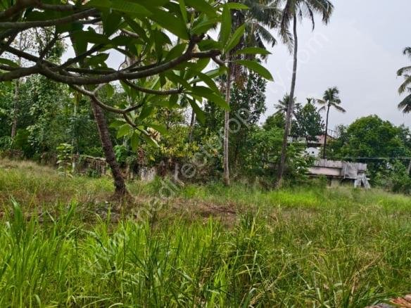 Plot for urgent sale in Aluva