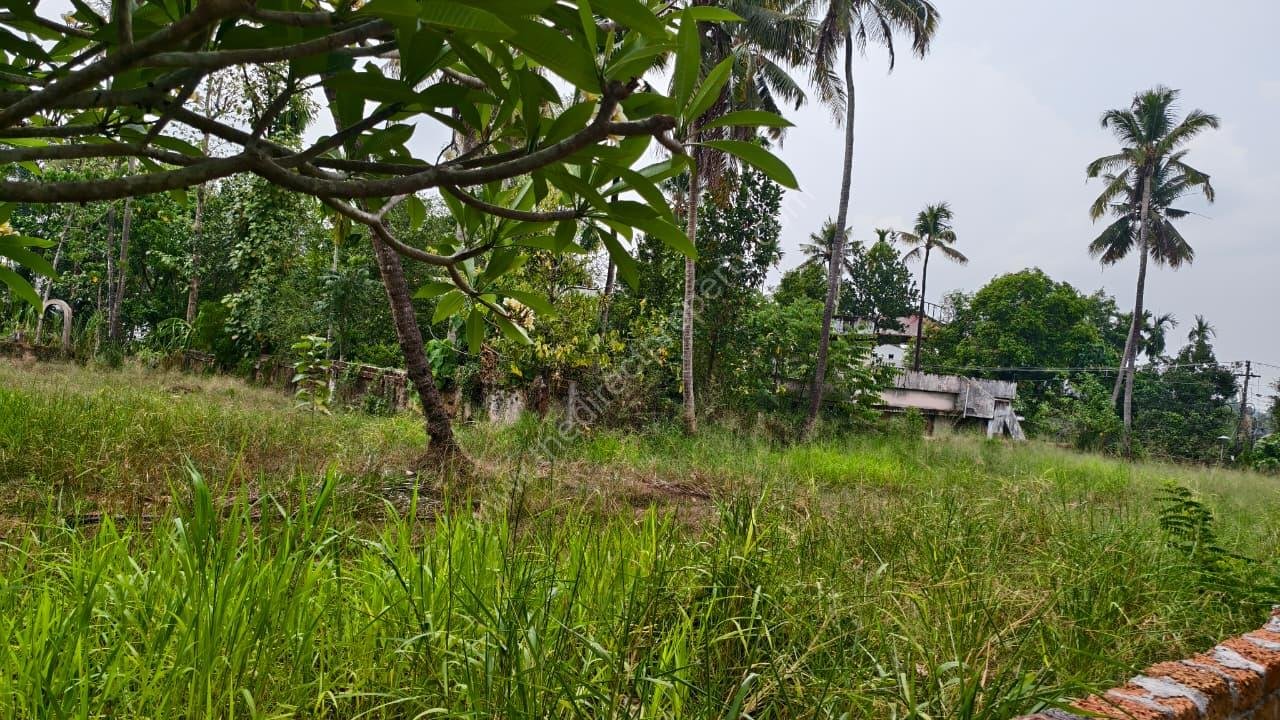 Plot for urgent sale in Aluva