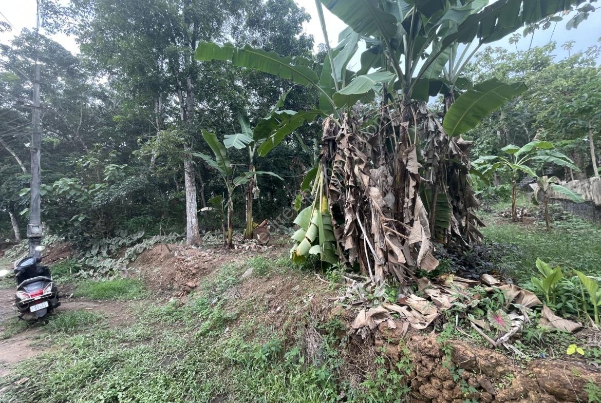 Roadside Residential Plot for Sale at Kannanchira Vakathanam