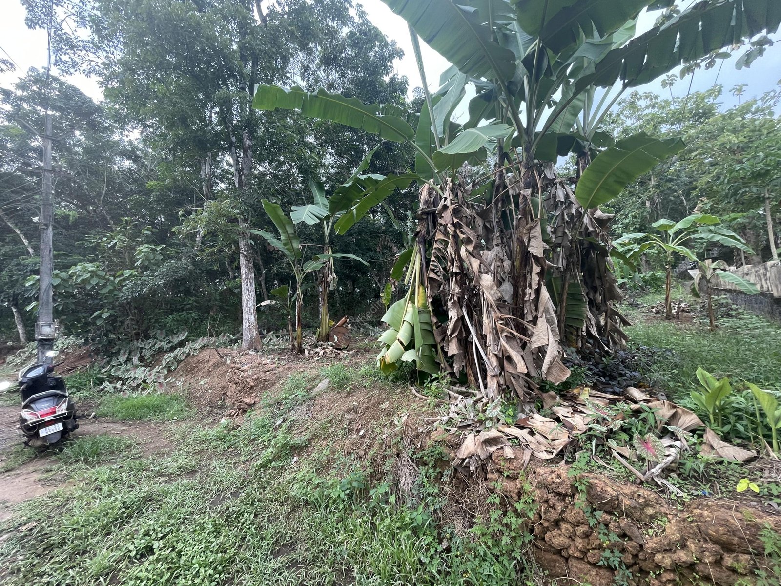 2 Roadside Residential Plot for Sale at Kannanchira Vakathanam