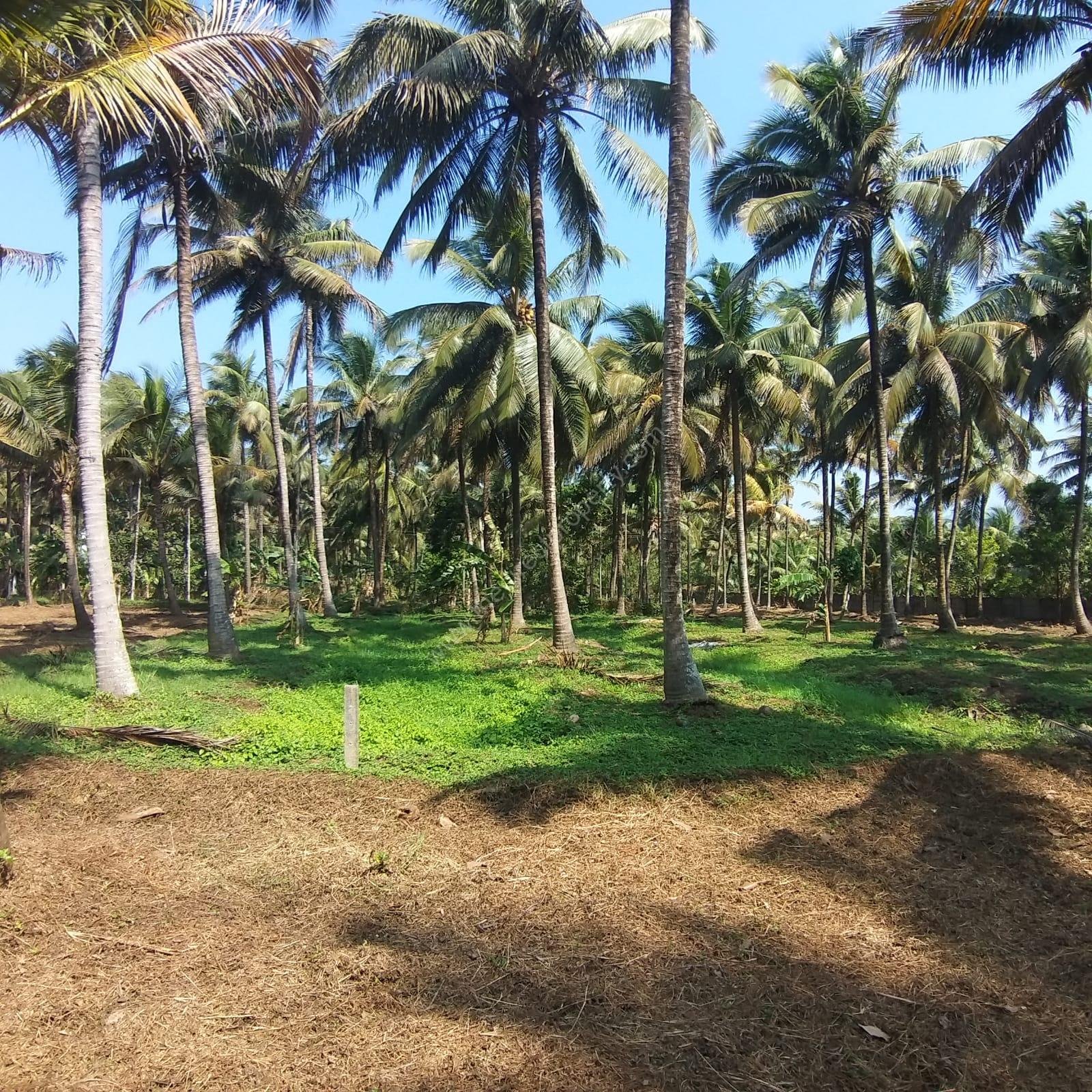 Mudikode