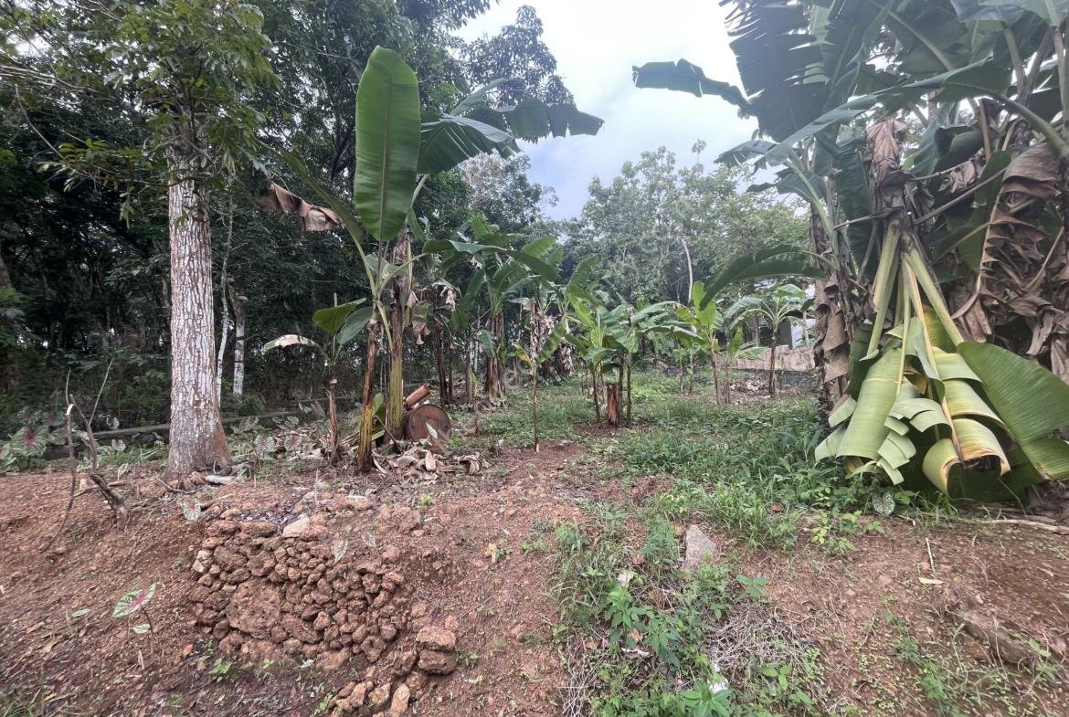 Roadside Residential Plot for Sale at Kannanchira Vakathanam