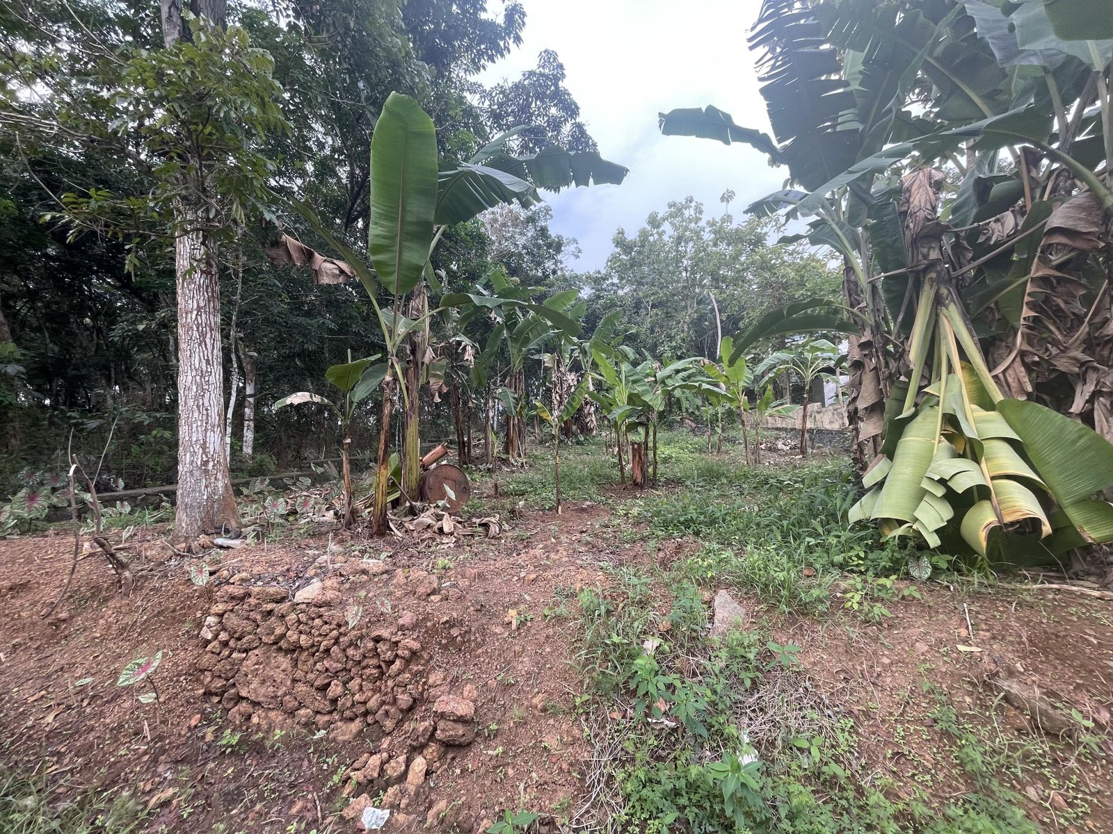 3 Roadside Residential Plot for Sale at Kannanchira Vakathanam