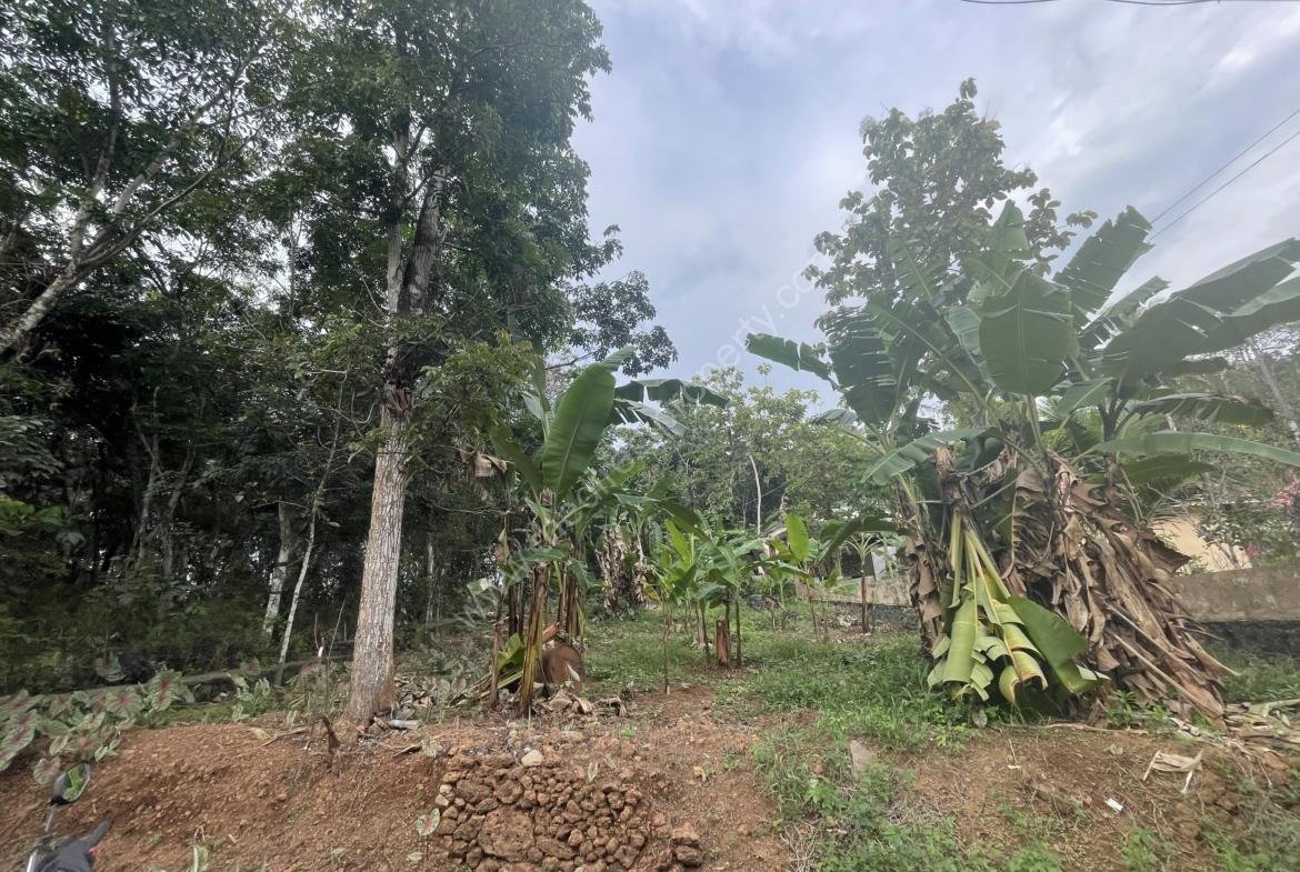 Roadside Residential Plot for Sale at Kannanchira Vakathanam