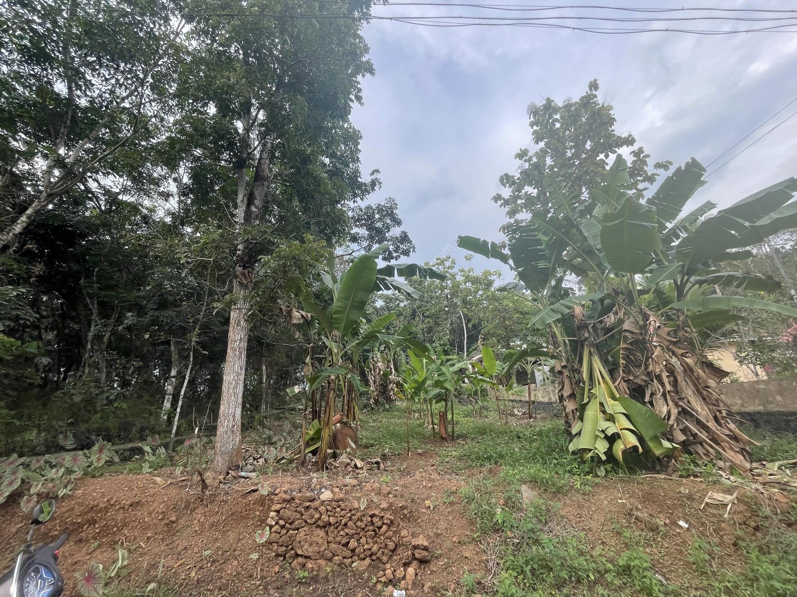 4 Roadside Residential Plot for Sale at Kannanchira Vakathanam