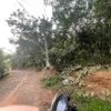 Plot for Sale at Kannanchira