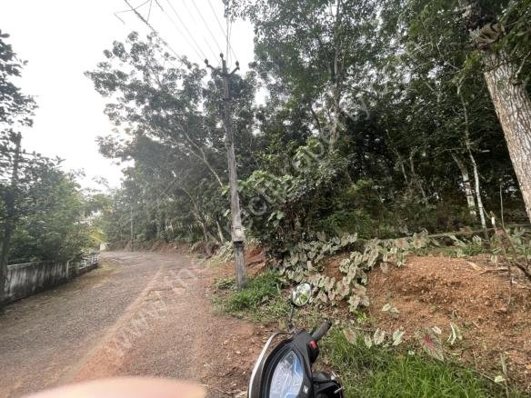 Plot for Sale at Kannanchira