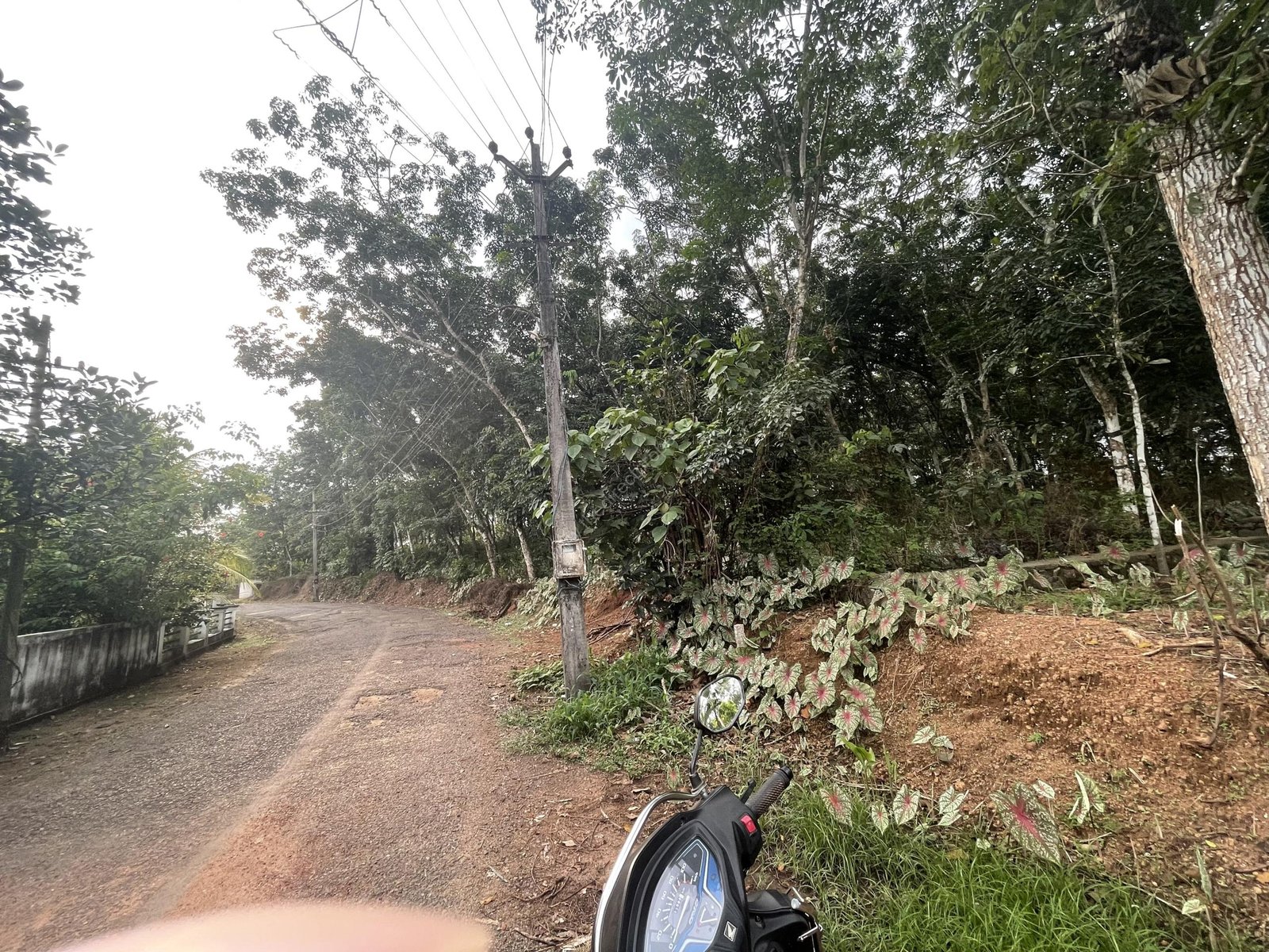 5 Plot for Sale at Kannanchira