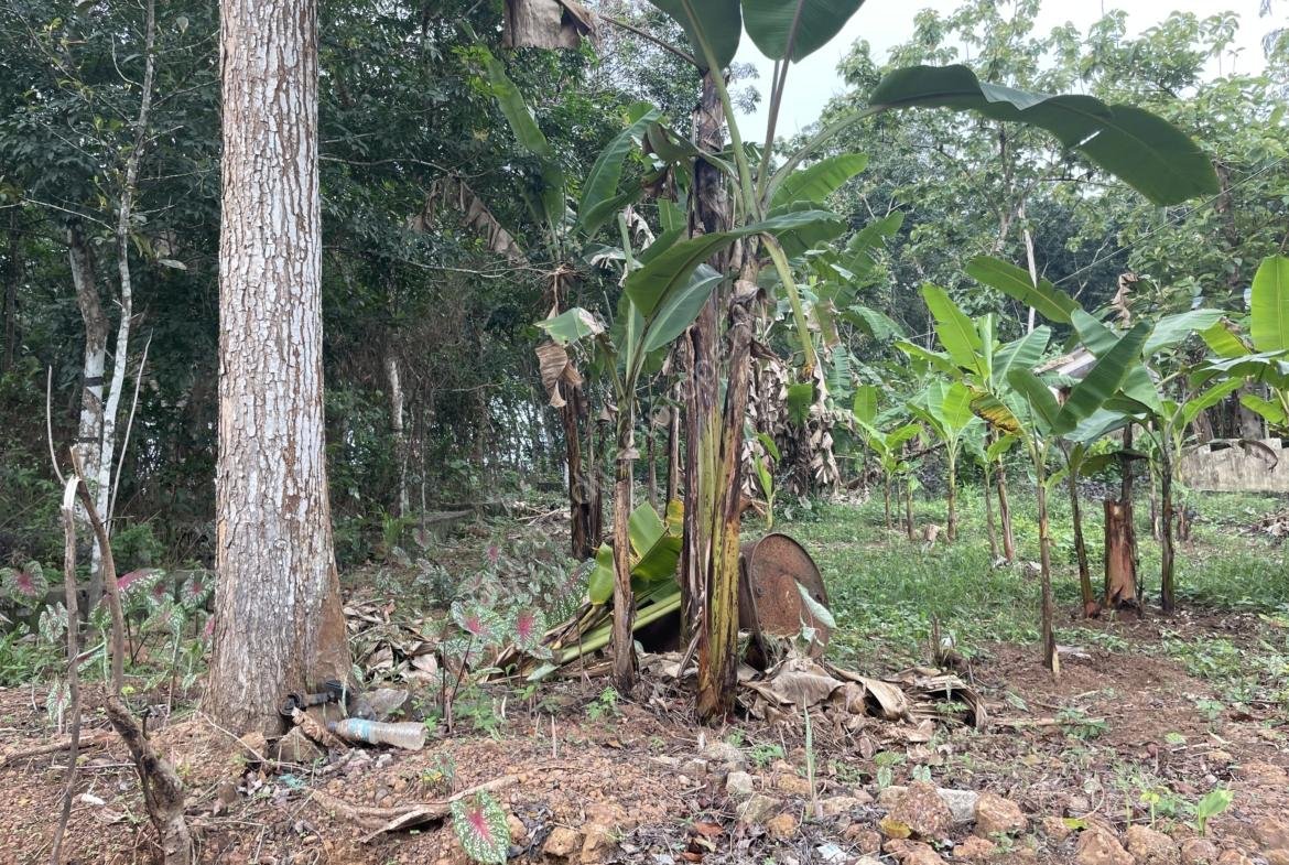 Roadside Residential Plot for Sale at Kannanchira Vakathanam