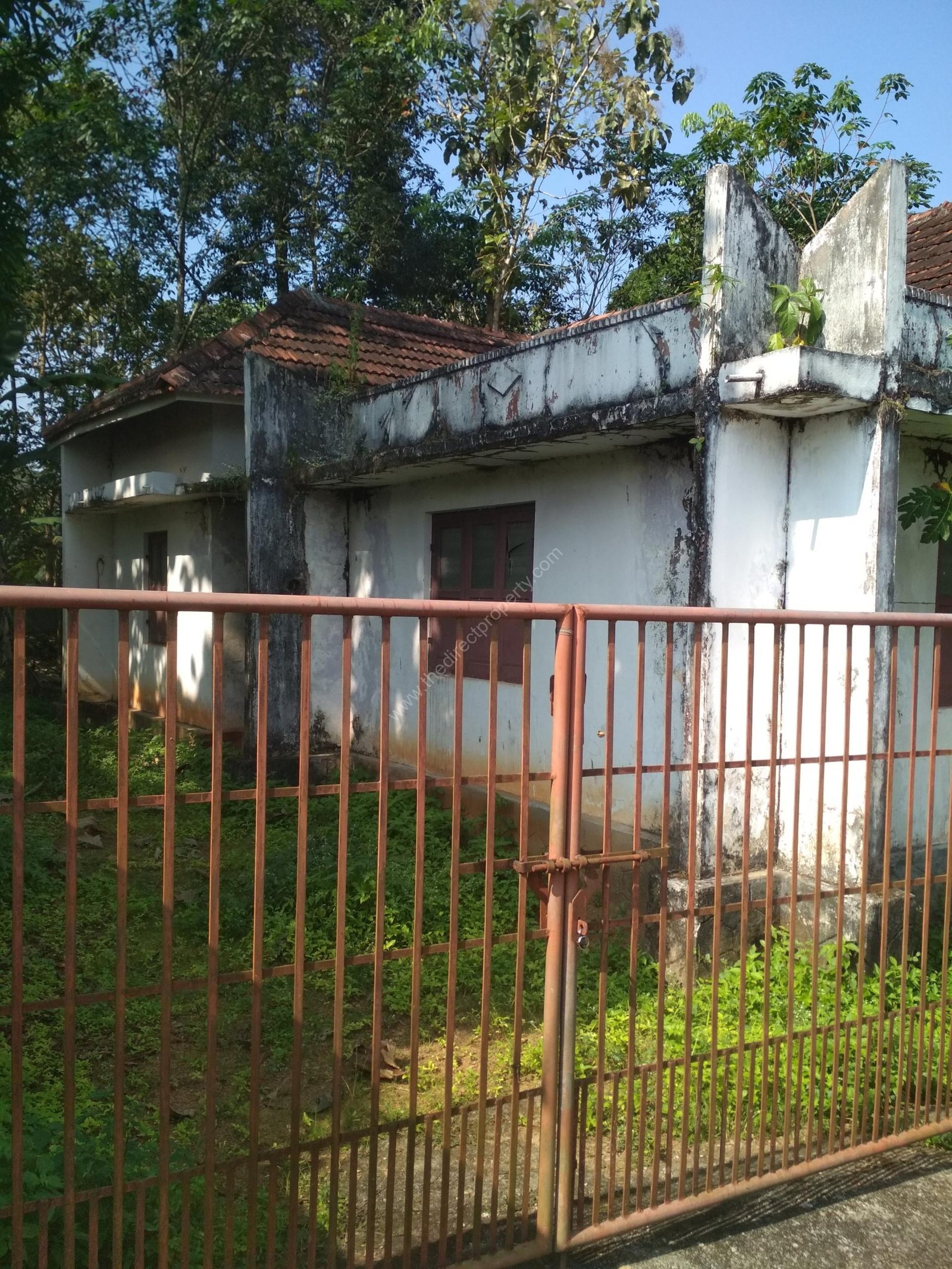 Land for sale near Pathanapuram