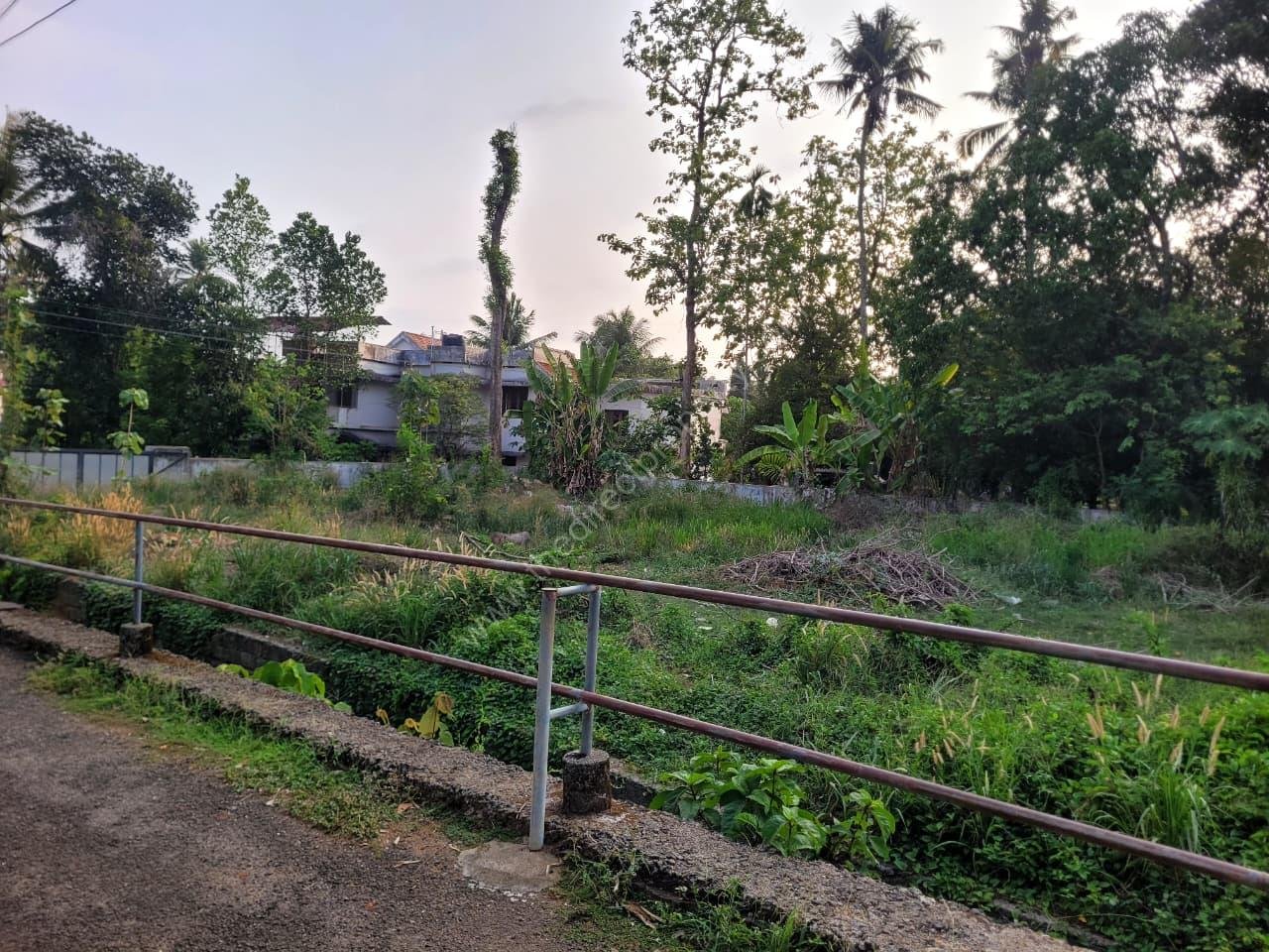 Angamaly 1 Plot for Sale in Aluva