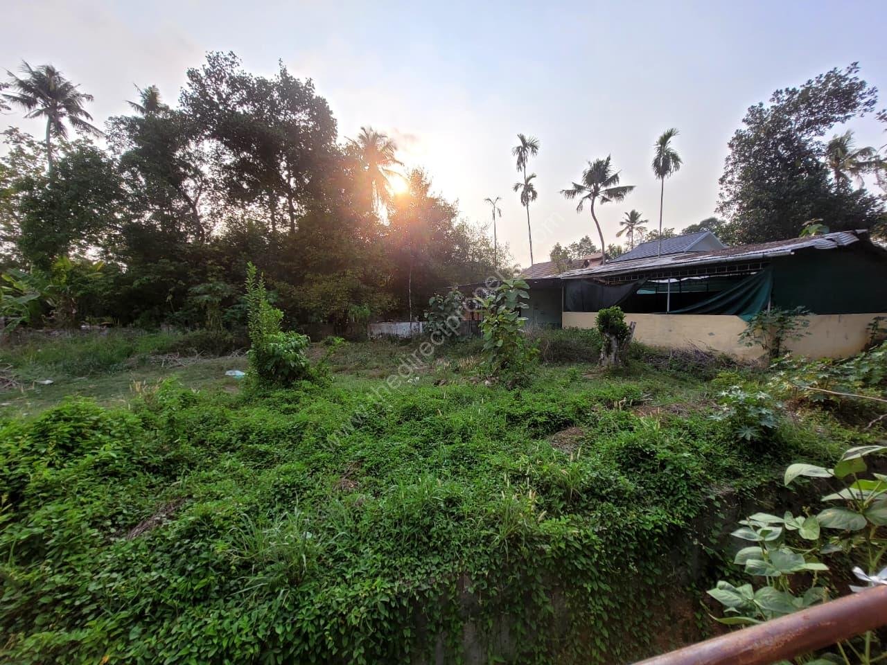 Angamaly 2