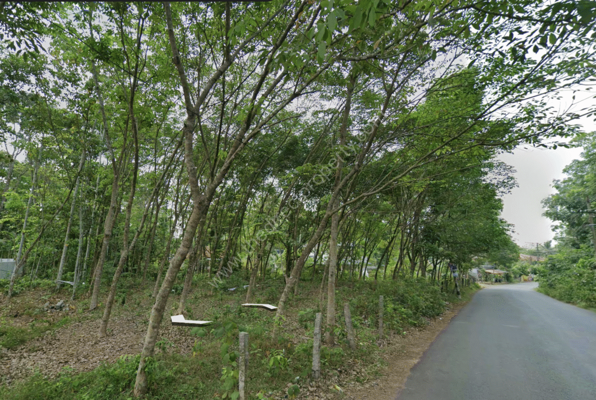 Home-Clinic/Medical-Centre Developable Land