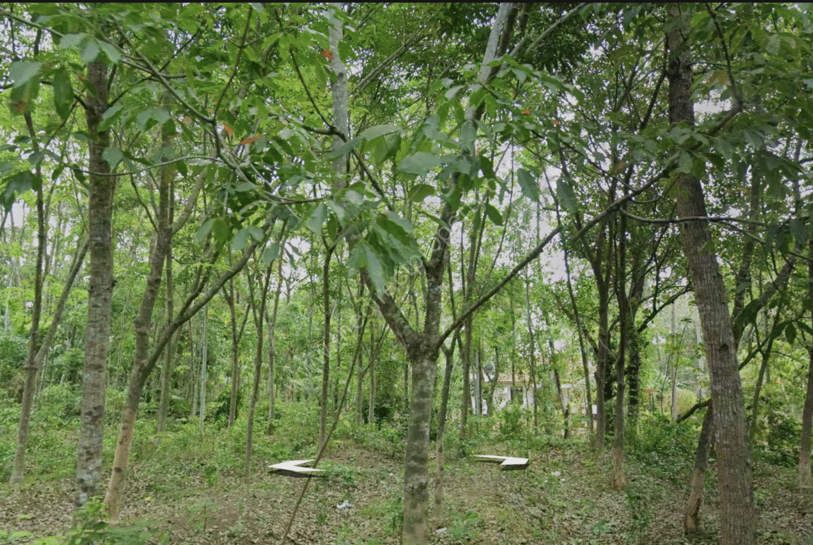 Home-Clinic/Medical-Centre Developable Land