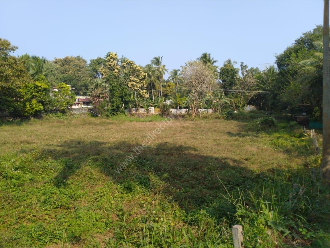 WhatsApp Image 2025-09-10 at 15.30.18_8efbd79e Land for sale in Alathur