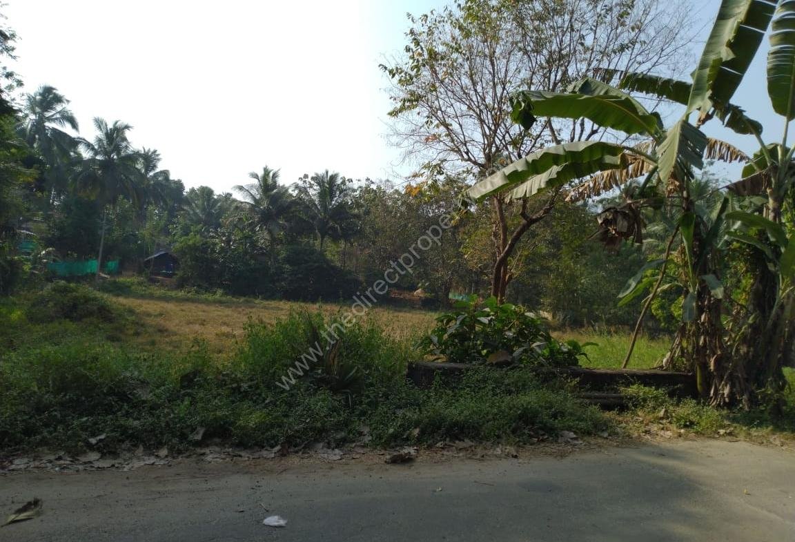 Land for sale in Alathur