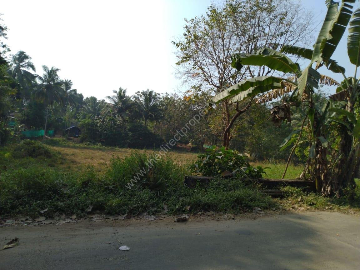 WhatsApp Image 2025-09-10 at 15.30.18_c902662a Land for sale in Alathur
